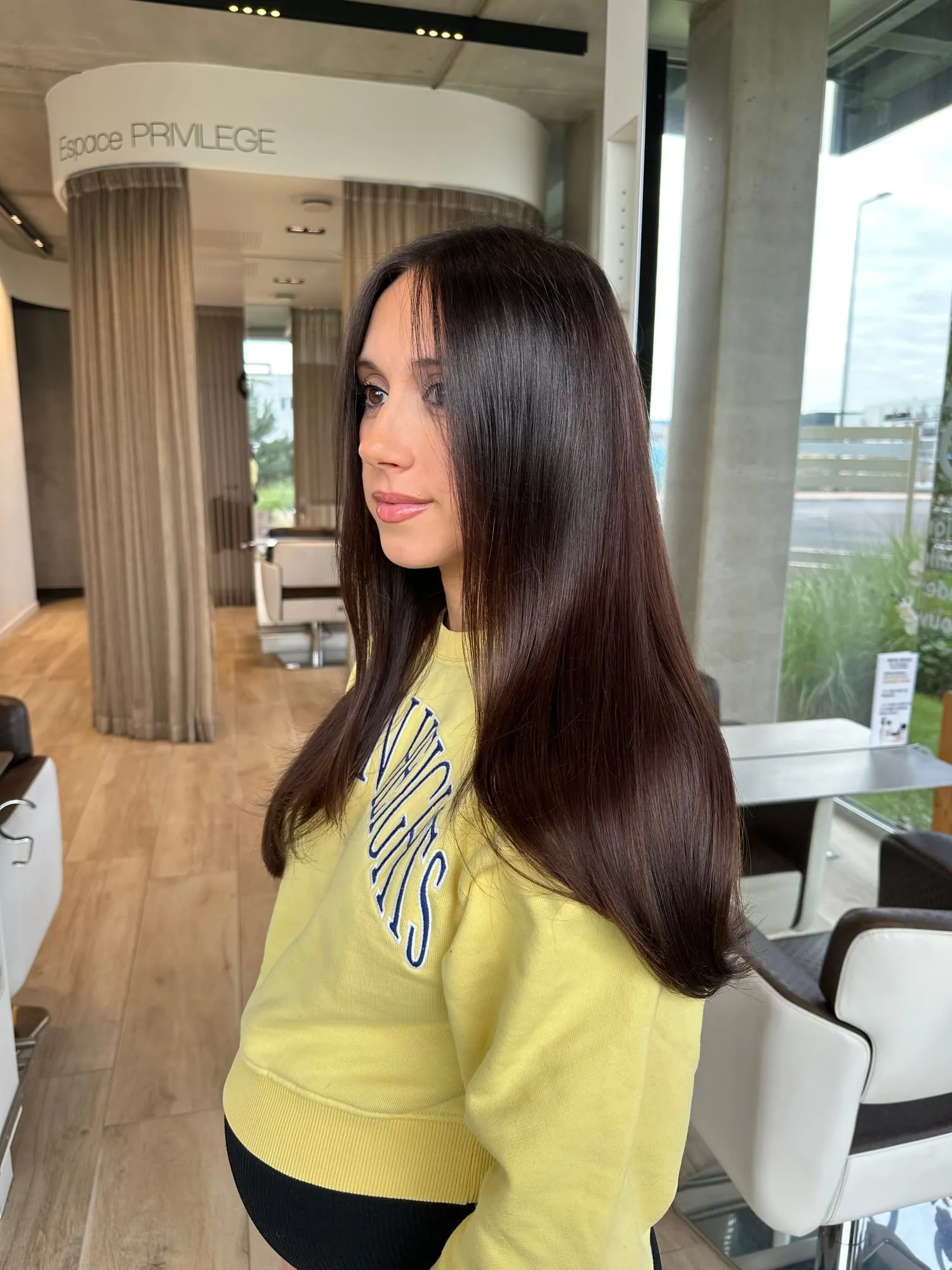 Cheveux longs brun profond et très brillants